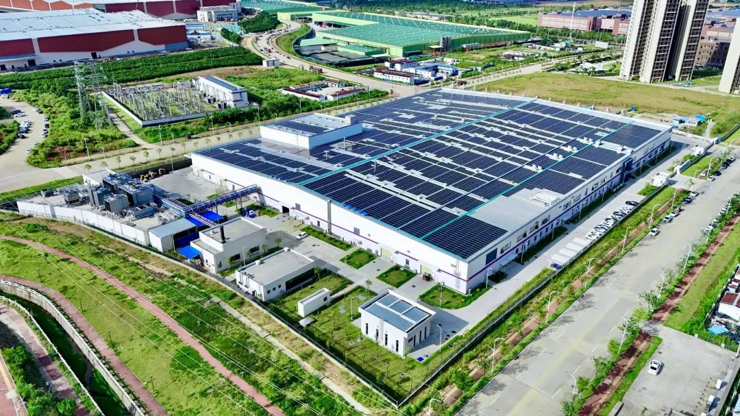 1734675124102402.jpg 4.jpg