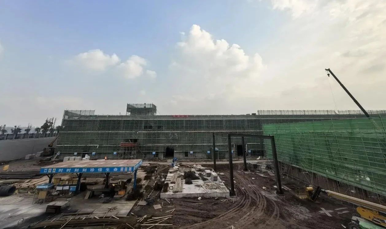 1739753567873674.jpg 10.jpg