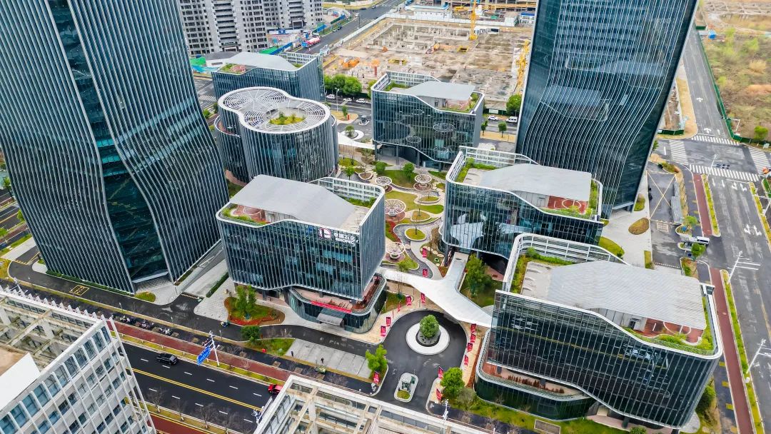 1742778516455835.jpg 12.jpg