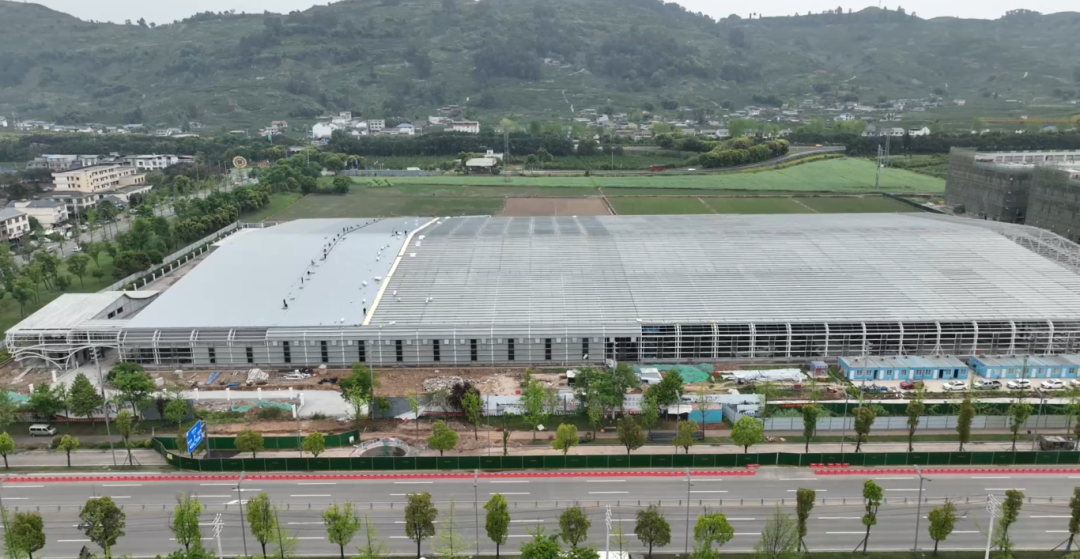 1745205444127834.png 10.png