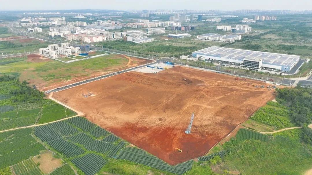 1747125552428854.jpg 5.jpg