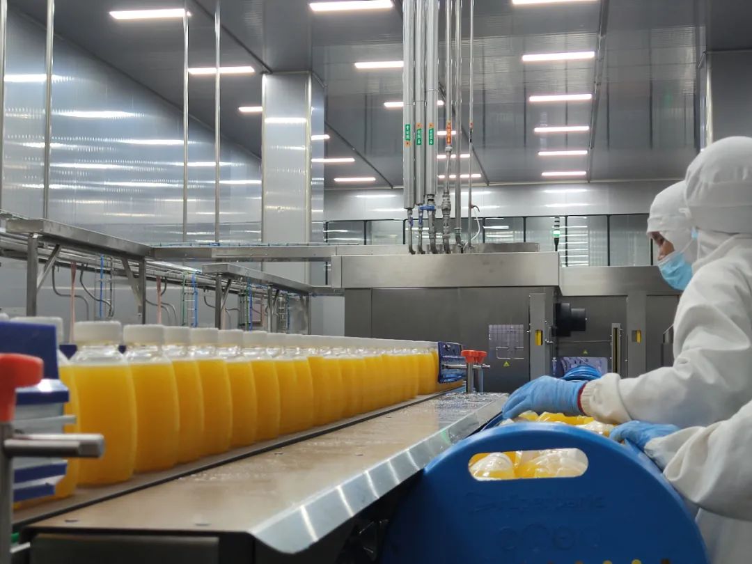 1749519198100974.jpg 11.jpg