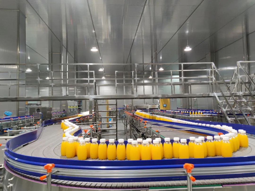 1749519231893081.jpg 14.jpg