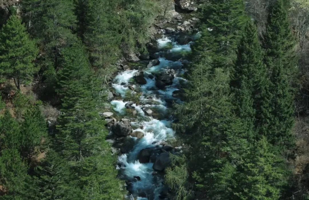 1751599961585963.jpg 1751599961585963.jpg