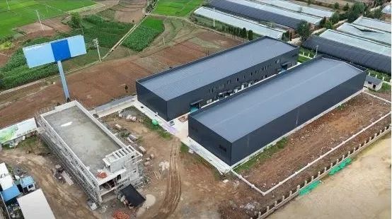 1752484025775733.jpg 16.jpg