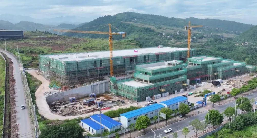 1754445765471154.jpg 3.jpg