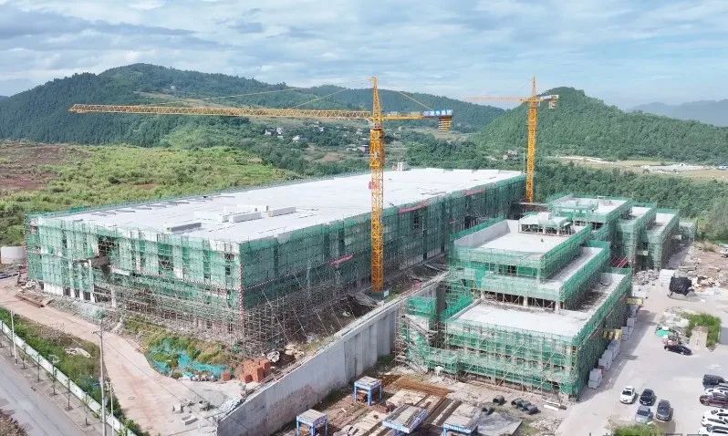 1754445779635794.jpg 4.jpg