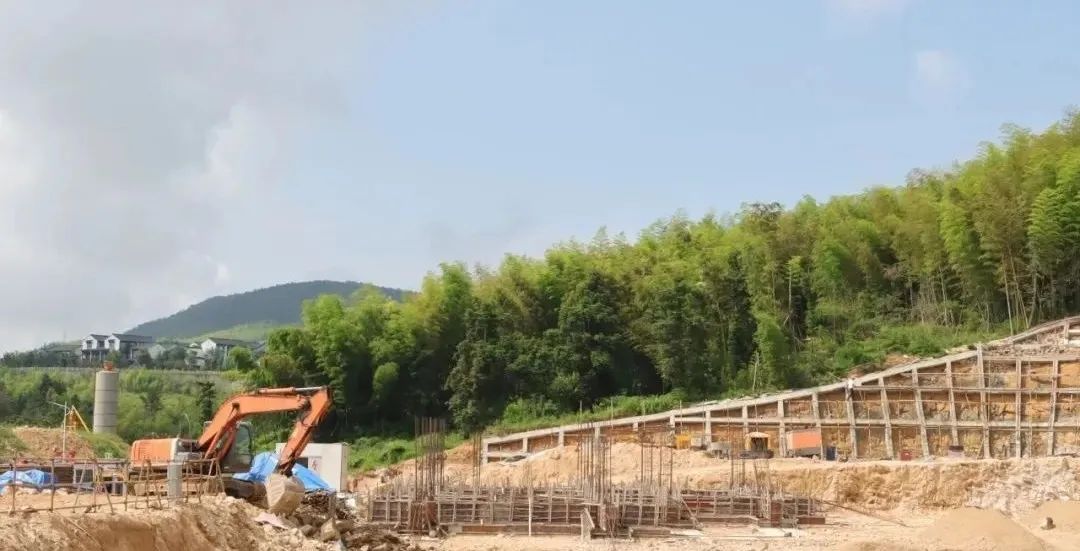 1754446065128337.jpg 10.jpg