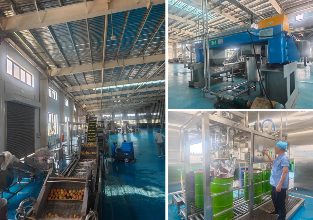 1755046450249541.png 1.png