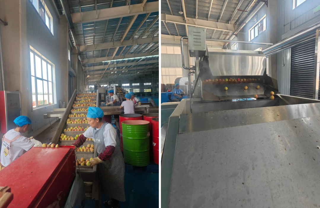 1755046485236545.png 2.png