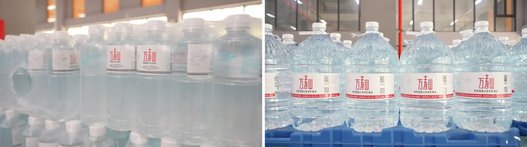 1755048102593494.png b.png