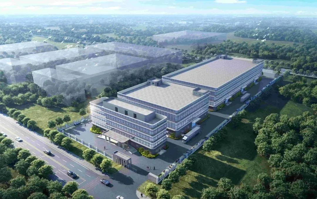 1756266275179528.jpg 3.jpg