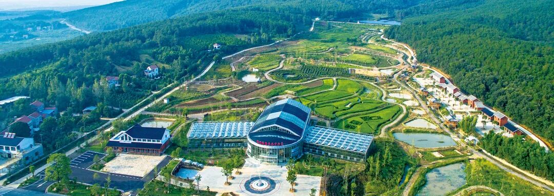 1759218460208704.jpg 3.jpg