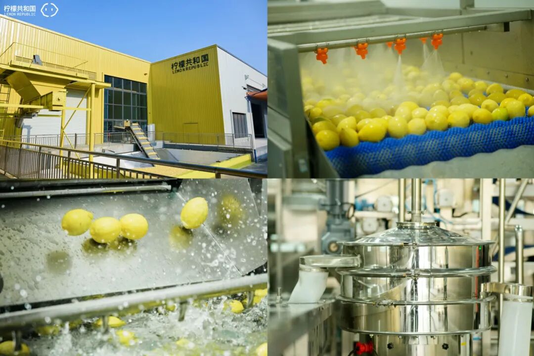 1760509552982802.jpg c.jpg