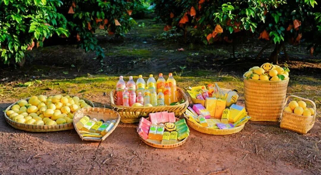 1760509571358196.jpg f.jpg