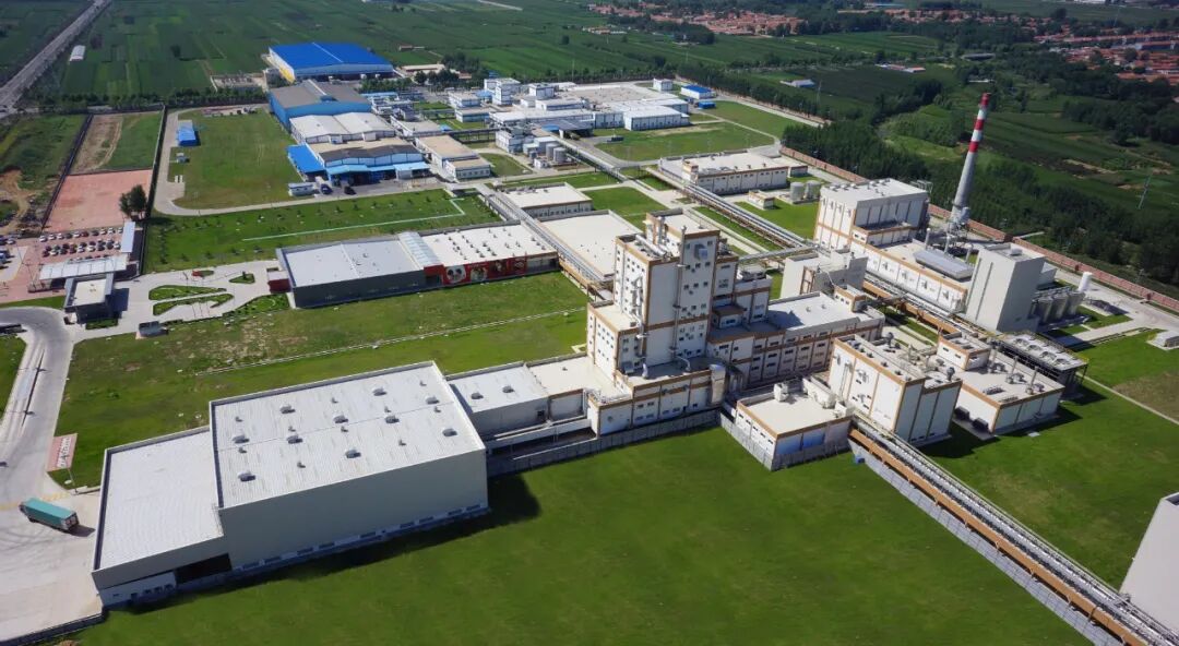 1761801963466593.jpg 11113.jpg